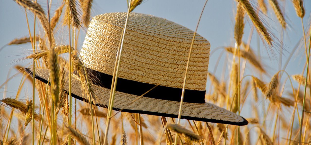 What to Do When Traveling to Florence